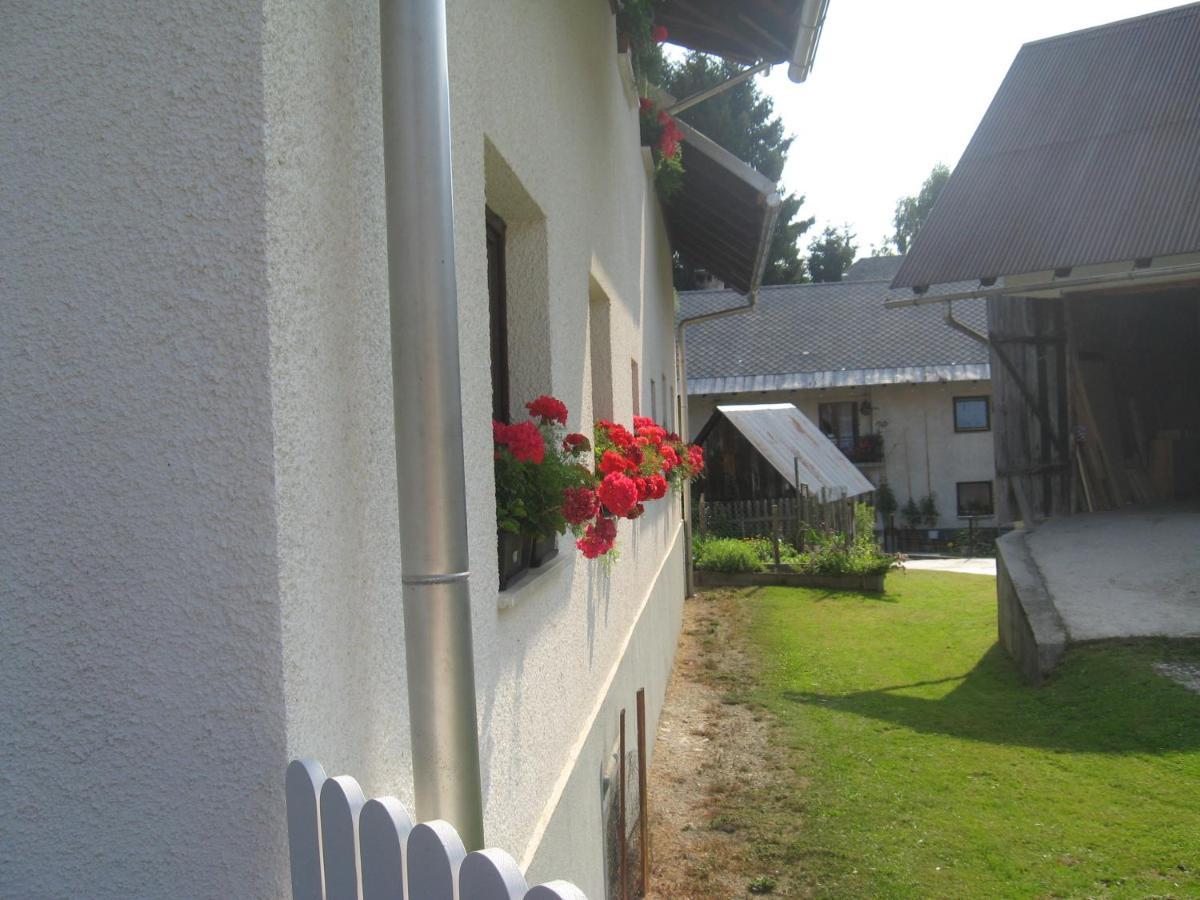 Apartma Tilika Кранска гора Екстериор снимка